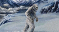 Kako izgleda snjegović?