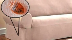 Kako donijeti bugove s kauča