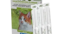 Kapi na grebene šipke - kompleksna zaštita mačke iz ektoparazita