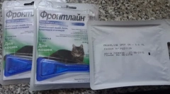 Kapi iz buha i krpelji na mačke