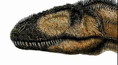 Carcharodotosaur