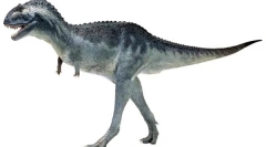Karnotaur