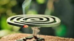 Komarci na okućninu i u vrtu