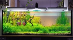 Kompresor za akvarij vlastitim rukama: upute za proizvodnju korak po korak