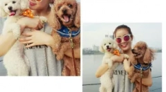 Korejski nadimci za pse: zanimljive mogućnosti sa značenjem