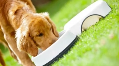 Purina pro plan psa feed: premium razred spreman