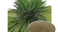 Feed wahre liebe - njemačka kvaliteta u super premiji i holističkom