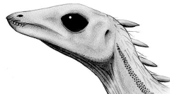 Lesotholar