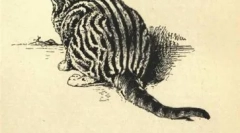 Lice marke whiskas i drugih zvijezda mačka reklama