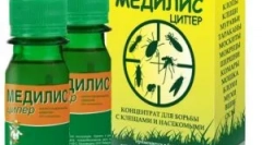 Medilis cup i njegova uporaba od insekata