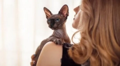 Cutie ili slana: kao pojava mačke za određivanje znaka