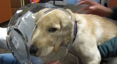 Najčešće nesreće