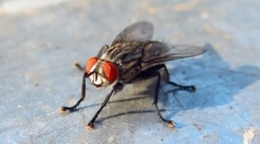 Jesu li spavaće sobe opasne?