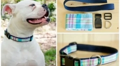 Pas s vlastitim rukama: jednostavna uputa