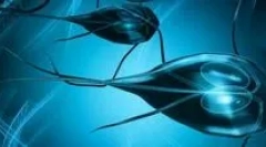 Glavni simptomi labioze