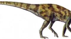 Parksosauru