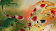 Prvi akvariji. Aquaries