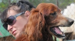 Otac iz oglašavanja chappi: što se dogodilo s legendarnim psom