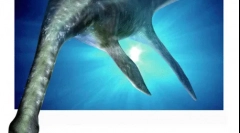 Plasiosaur