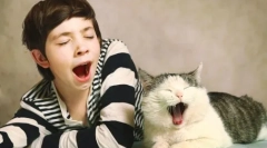 Zašto mačke zijevati