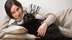 Zašto usamljene žene uzgajaju mačke