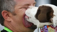 Zašto pas liže lice i vlasnika ruke?