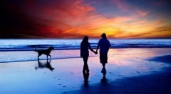 Zašto se pas zove najbolji čovjek čovjeka