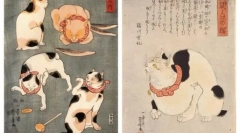 Detaljan opis mačaka pasmine japanski bobtail