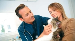 Stalno su proširili učenike mačkom: zašto se to događa što učiniti