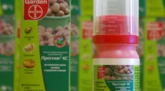 Prestige: imenovanje i pravila