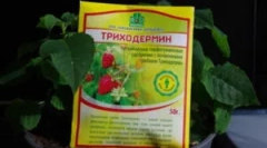 Priprema triphodermina i upute za njegovu uporabu