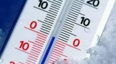 Na kojoj temperaturi, buhe umiru?