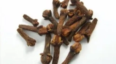 Primjena karanfila iz parazita