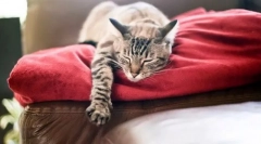 Problemi s noćnim slojem