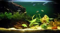 Sorte akvarijskih kompresora