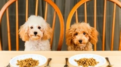 Ocijenjeni odvod hrane: odabir hrane za velike i male stijene