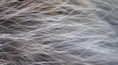 Figura na mačke vune