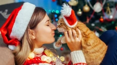 Sretna nova godina, mačka! 14 novogodišnjih ideja za dar za mačke