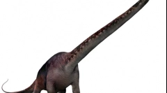 Seizmicosaur