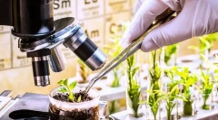 Odabir, njegove zadatke, metode i praktična važnost