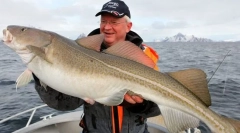 Sjeverna ribarska riba