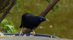 Saten u obliku pijeska