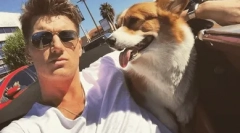 Kakva vrsta pasmine osvojila je srce alexey vorobyov?