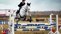 Sportaši, umjetnici, spasitelji