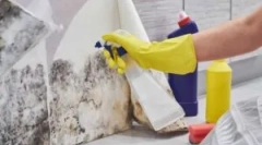 Alati za uklanjanje plijesni (figuse plijesni)