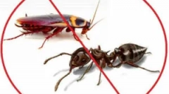 Fas alat: obrasci i aplikacije za otpuštanje