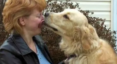 Top 10 najdraže životinje