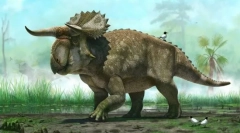 Hertbivore dinosauri