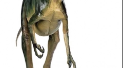 Troodovi