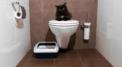 Cat wc zatvoren: odaberite udobnost za životinju i čišćenje za dom